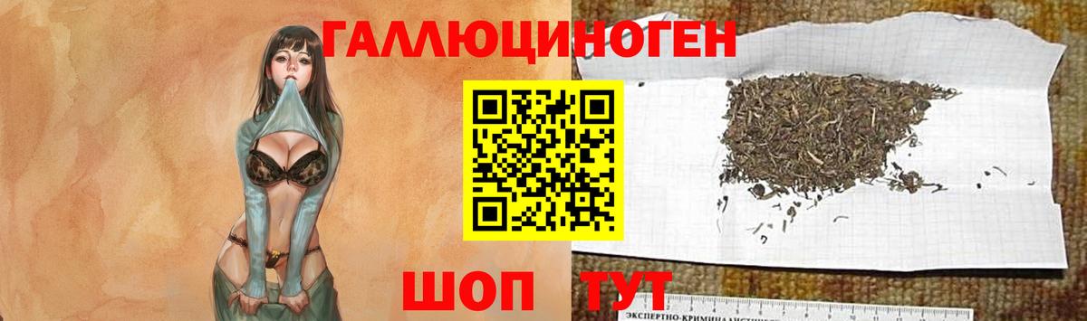 Галлюциногенные грибы Psilocybe  Вход с VPN  Арзамас 